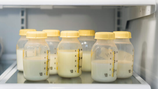 Breast milk in bottles on refrigerator shelf