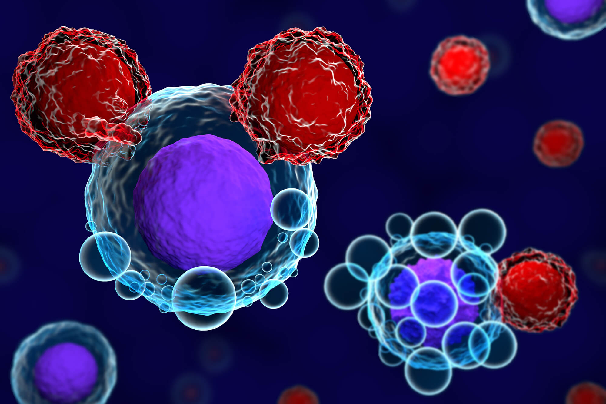 Computer illustration of CAR-T cells.