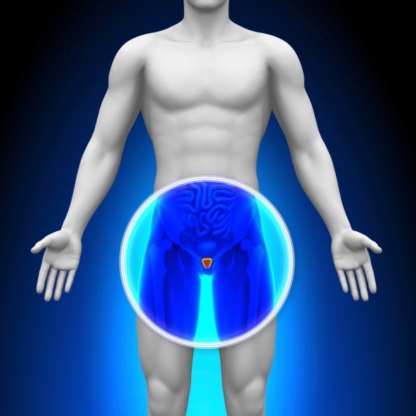 Cryotherapy Is a Viable Choice for High-Grade Prostate Cancer