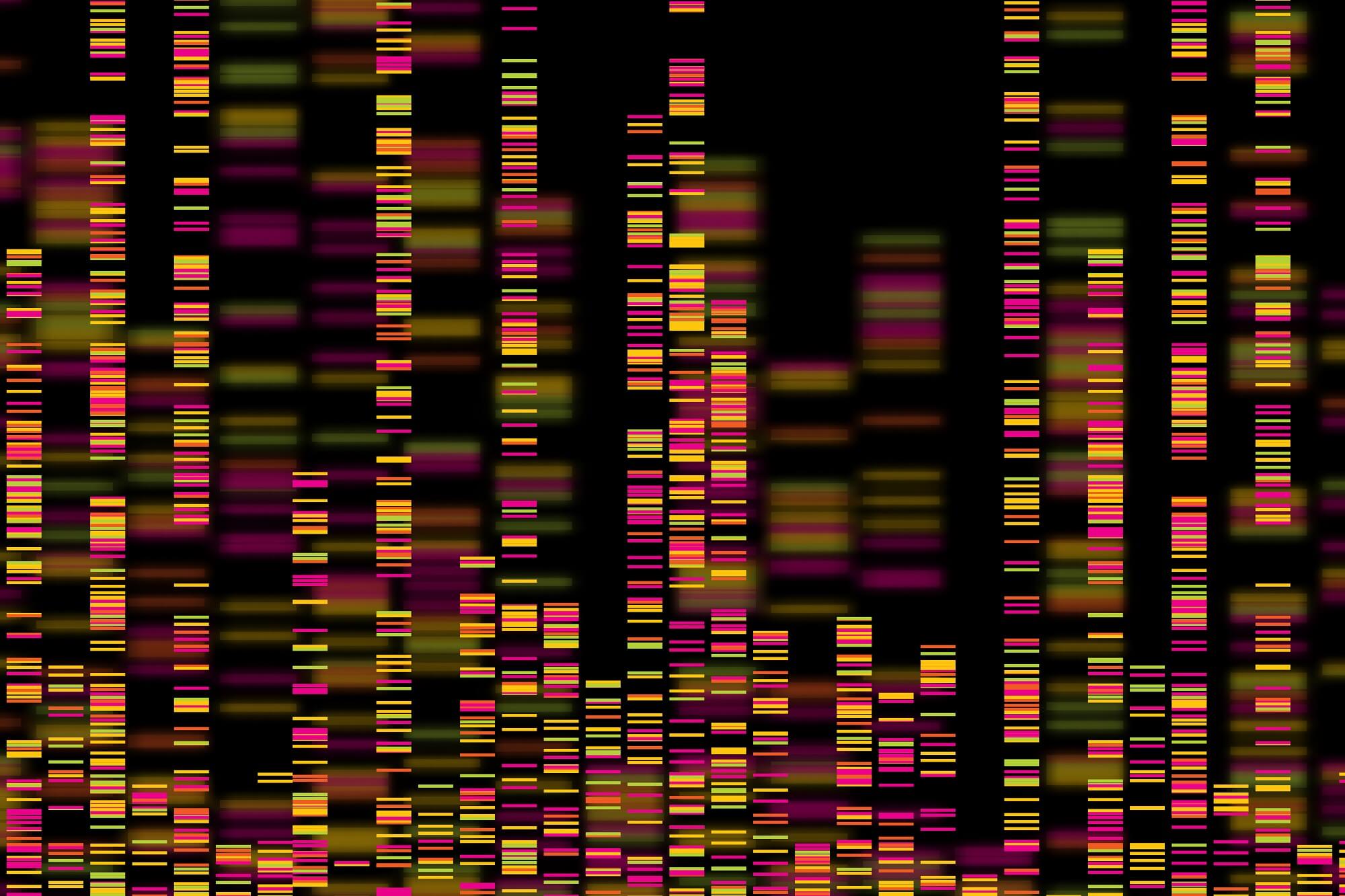 A depiction of a genome.