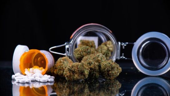 Articles discussing the use of cannabis as a substitute for opioids highlight the limitations of the