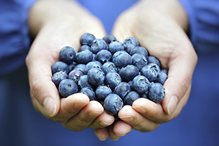 Antioxidants and Cancer Prevention (Fact Sheet)