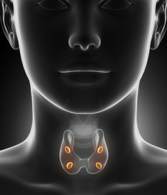 In thyroid cancer with and without prior exposure to VEGF therapy, the response rates and survival f