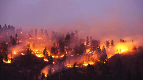 A forest fire burning the side of a mountain in Montana.
