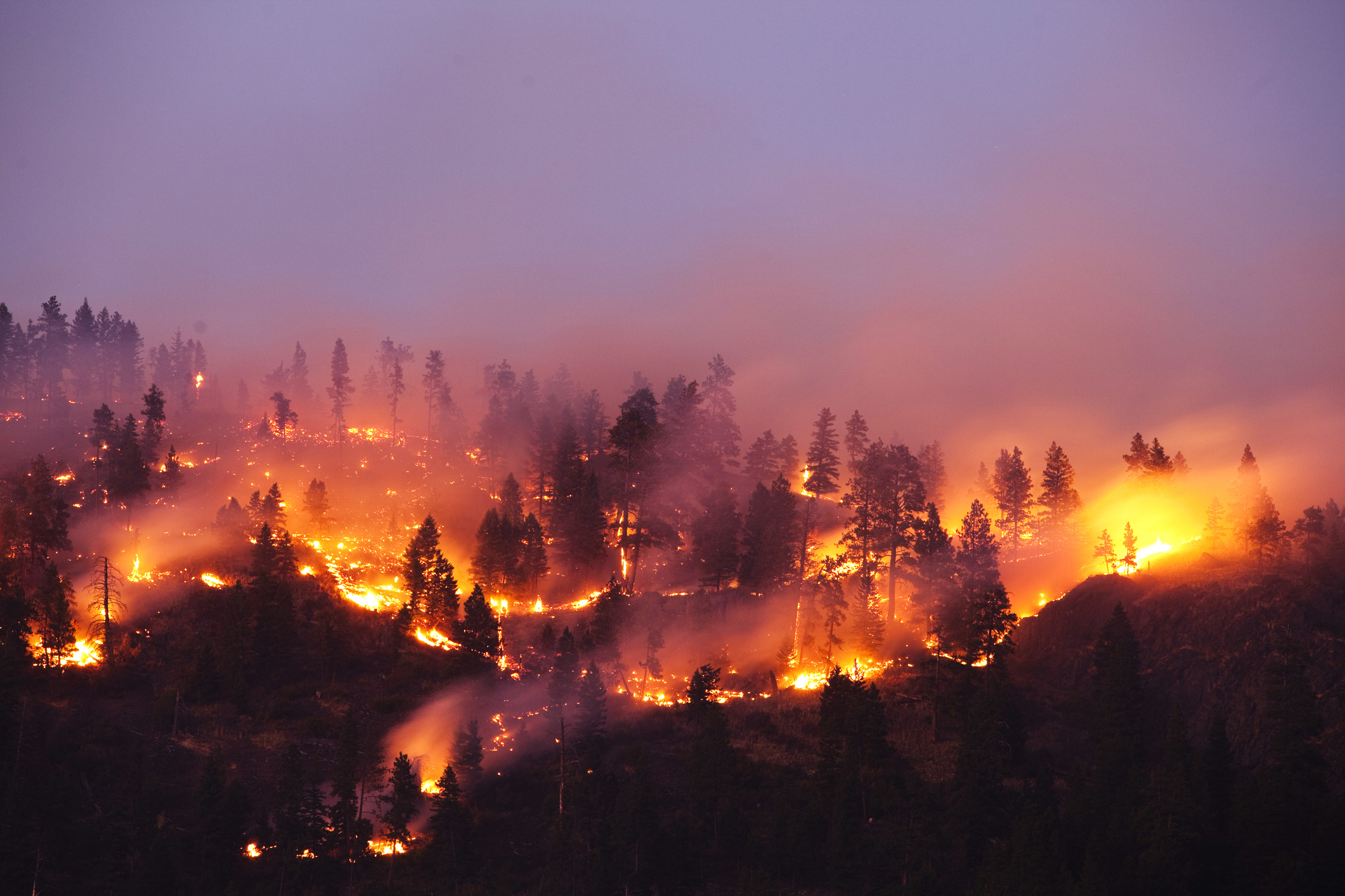 A forest fire burning the side of a mountain in Montana.